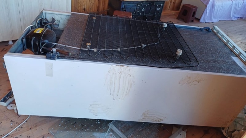 Trabzon'da ayılar, 7 yayla evinin altını üstüne getirdi