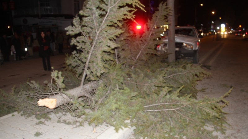 Konya’da otomobil refüjdeki ağaca çarptı: 6 yaralı