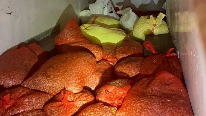 Samsun'da kaçak midye avcılığına 37 bin lira ceza