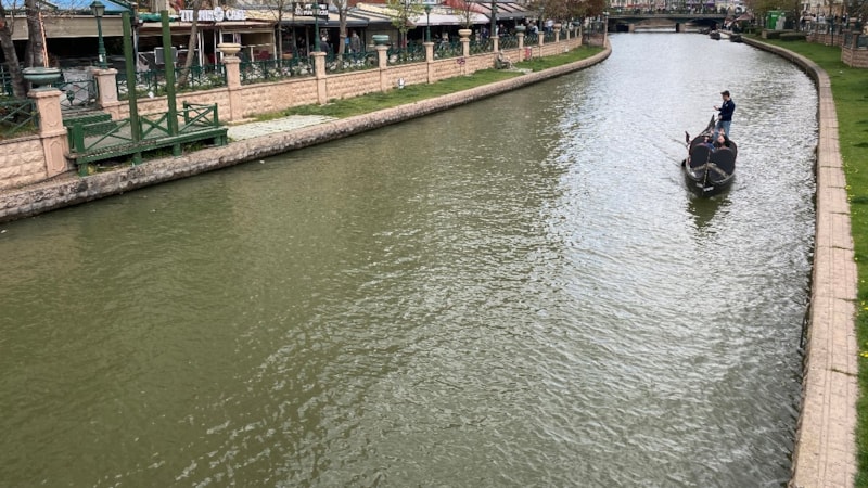 Porsuk Çayı'nda balık ölümleri