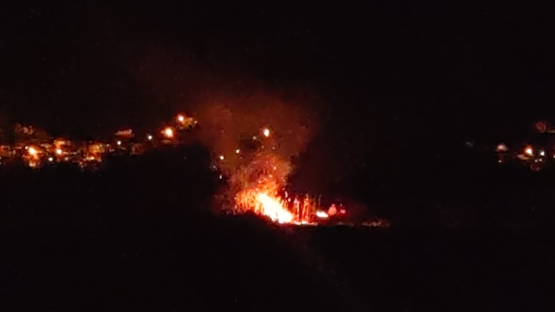 Van'da birçok kuş türüne ev sahipliği yapan sazlık alan yandı