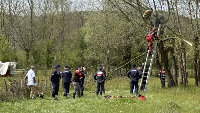 Bartın'da ağaç budarken kalp krizi geçirip can verdi
