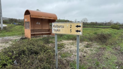 Çanakkale'de şap karantinası