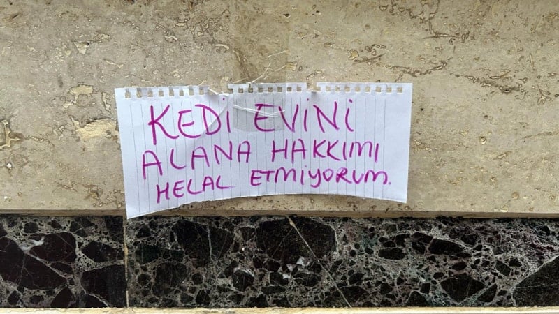 Eskişehir'de kedi evini çalanlara hakkını helal etmedi