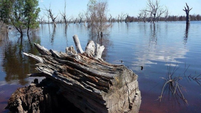 Kenya'da kolera salgını: 6 ölü