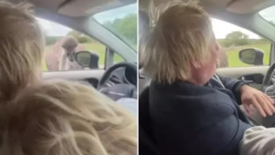 Boris Johnson'ı devekuşu ısırdı