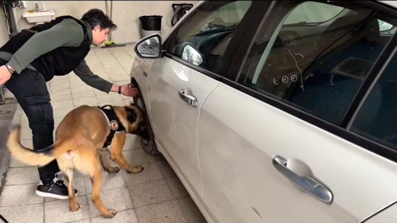 Bilecik'te uyuşturucu operasyonu düzenlendi