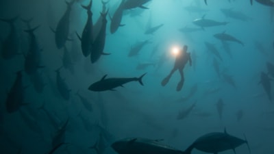 NASA uydusu okyanus tabanında 100 bin gizli dağ keşfetti