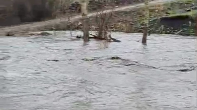 Kars'ta sağanak sonrası sel meydana geldi