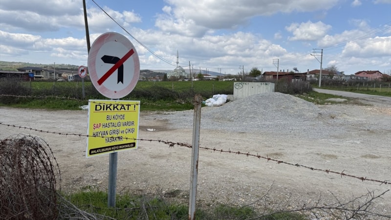 Çanakkale'de bir köyde daha şap karantinası uygulaması