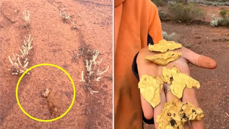 Toprağın arasından gizli servet çıktı! Tam 5 milyon TL değerinde…