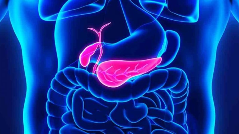 Safra (Sıvısı) nedir, ne işe yarar? İşte sırrı...