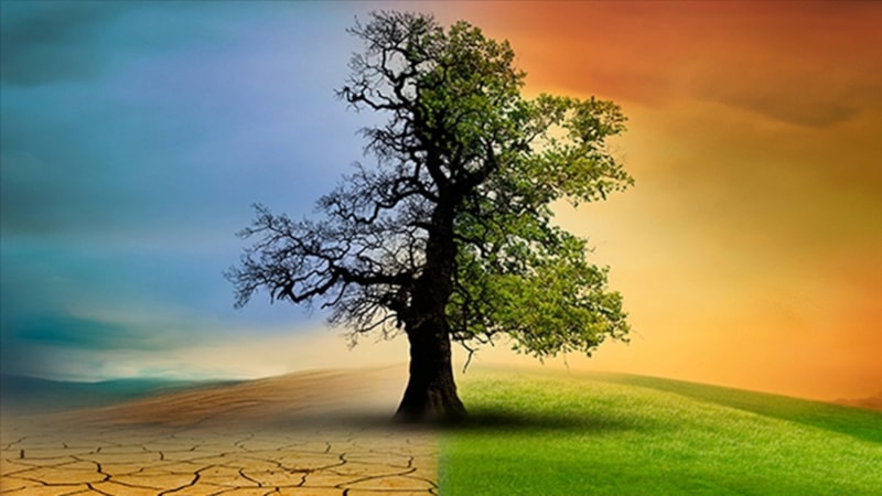 İklim Kanunu nedir, maddeleri nelerdir? 14 soruda İklim Kanunu