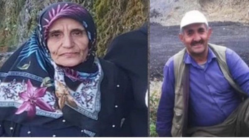Hakkari'de 60 yaşındaki kadından haber yok
