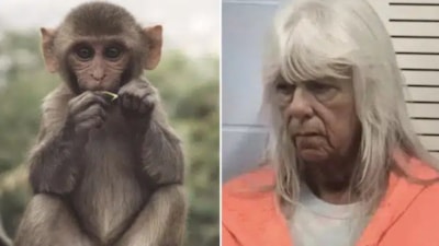 ABD'de koleksiyonu için çocuğunu maymunla takas etti