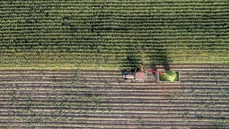 Çiftçilere 5,5 milyar lira destek ödemesi yapıldı