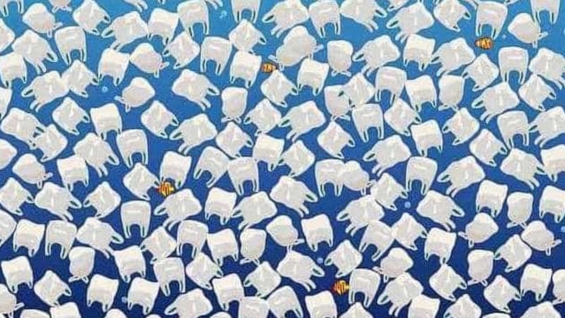 Görsel zeka testi: Plastik poşetlerin arasındaki denizanasını bulan, dahi sayılıyor