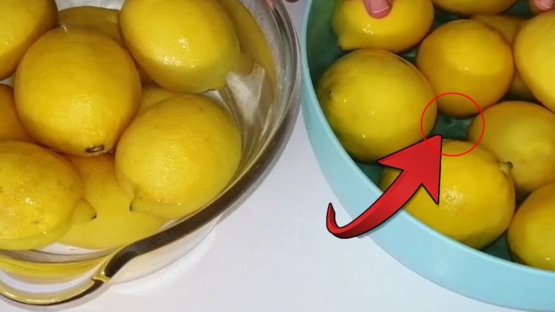 Sırrı fırın kağıdında… Limonlar haftalarca bozulmuyor ve sulu kalıyor