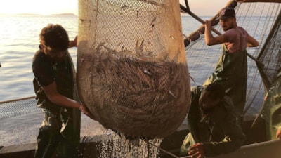 Denizlerde av yasağı başlıyor! Uymayanlara 170 bin liraya kadar ceza