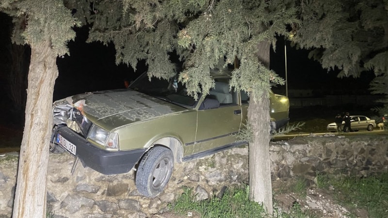 Manisa'da sürücüsü kalp krizi geçiren otomobil ağaca çarptı: 1 ölü