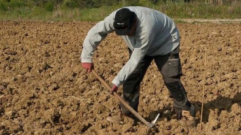 Tarlada buldu servet kazandı! 2 bin yıllık paranın değeri dudak uçuklattı