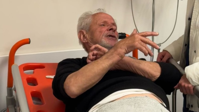 Balıkesir'de zeytinlikte ayı saldırısı