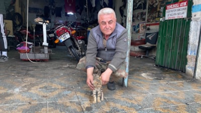 Manisa'da esnaf bir kediyi hayata bağladı