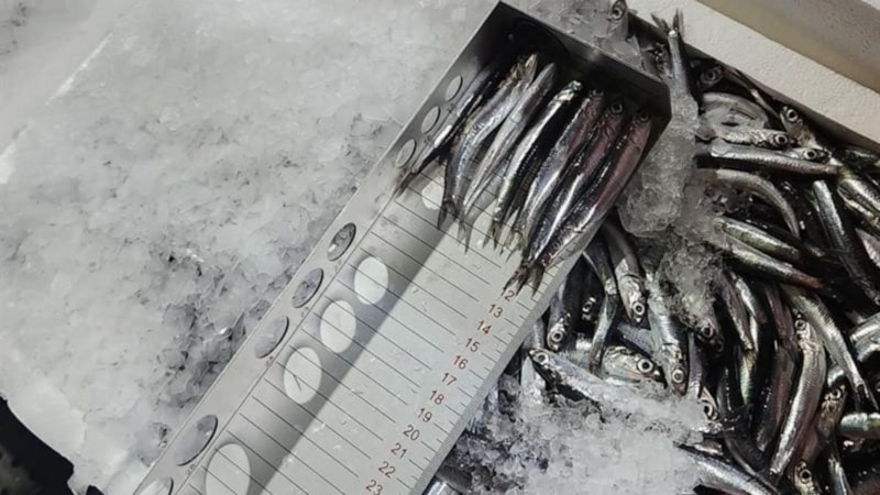 Trabzon'da av sezonunda yasaları çiğneyenlere rekor cezalar kesildi