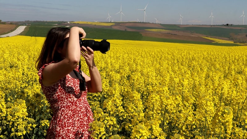 Trakya'da tarlalar fotoğraf stüdyosu gibi