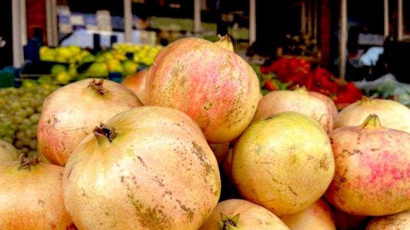 Şanlıurfa'da AB tescilli Suruç narında budama zamanı