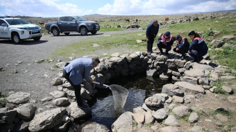Diyarbakır, Mardin ve Şanlıurfa'nın kesişimindaki 'doğal akvaryum' turizme açılıyor