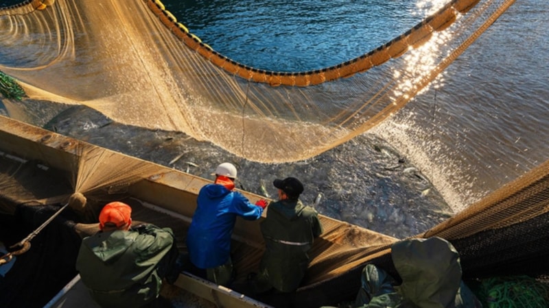 Tarım ve Orman Bakanlığından balıkçılara yeni düzenlemeler