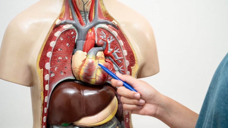 Orta yaş grubu için ciddi risk: Aort yırtılması kalp krizi ve felçle sonuçlanabilir