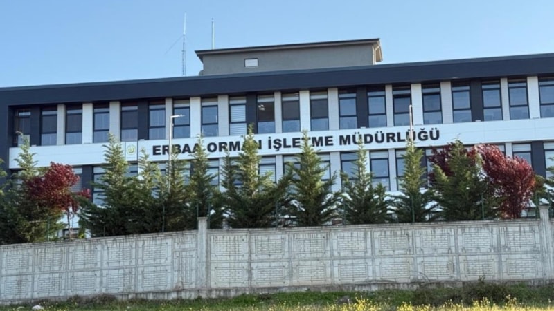 Tokat'ta ihaleye fesat karıştırma soruşturması: 7 gözaltı