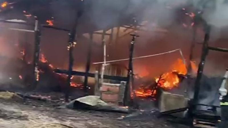 Kocaeli'de elektrik kontağından çıkan yangın samanlığa sıçradı