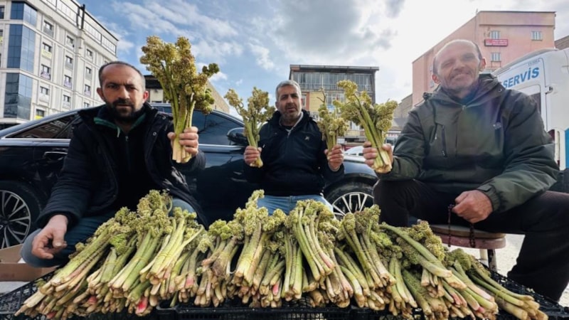 Hakkari'de yayla muzunun destesi 100 TL'den satışta