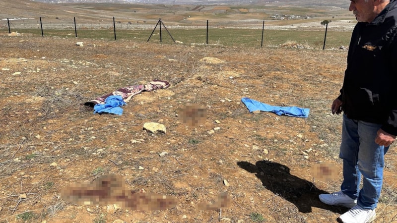 Kayseri'de köpeklerin yaşlı adama saldırdığı olayda yeni detaylar