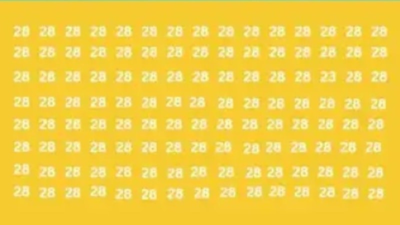 Sadece dahiler bulabiliyor! Resimdeki 23 sayısını 5 saniyede bulan dahi çıkıyor