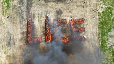 Diyarbakır'da 20 ton uyuşturucu imha edildi