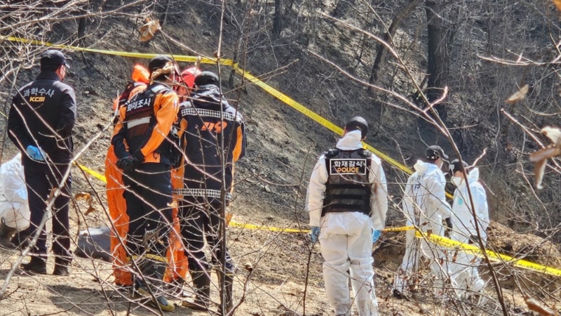 Güney Kore'deki orman yangınlarında bilanço