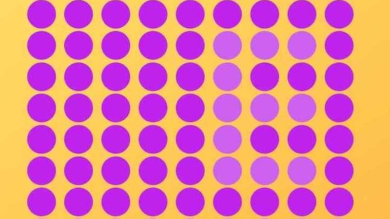 İllüzyon testi: Gizli harfi gören süper IQ'lu çıkıyor...