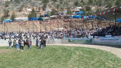 Artvin’de 500 kilogramlık boğa bakıcısını hastanelik etti