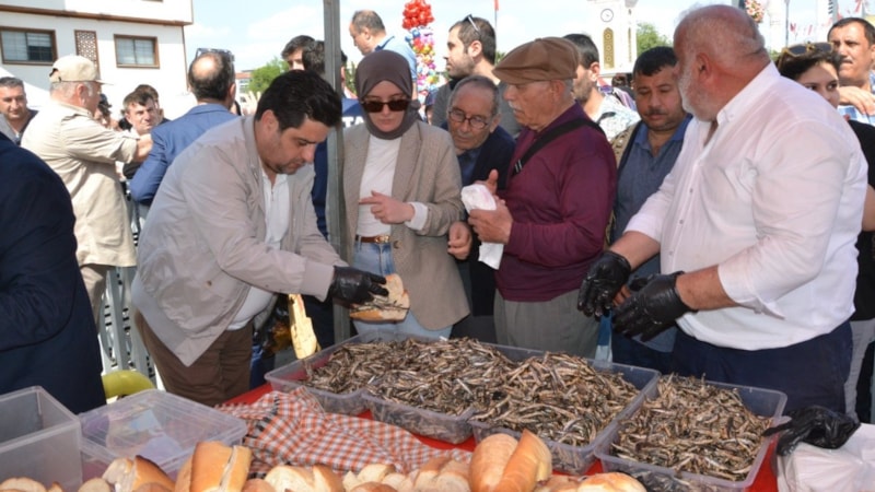 Manisa'da Hamsi Festivali düzenlendi