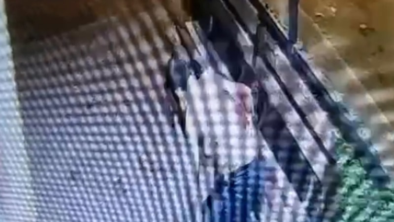 Antalya'da ablasını rahatsız eden şahsı öldürdü