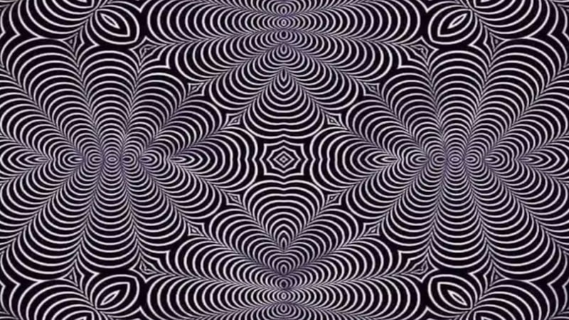 Sağ-sol beyin testi: Resimde hangi hayvanı görüyorsunuz? Kediyse…