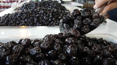 Marmarabirlik'in üreticilere son ödeme tarihi belli oldu