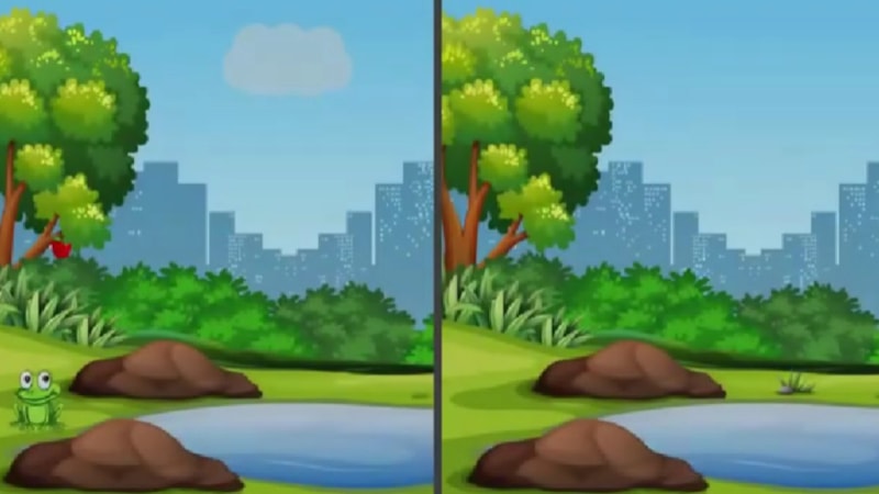 Zekanızı ve Dikkatinizi Test Edin: İki resim arasındaki 5 farkı bulun!