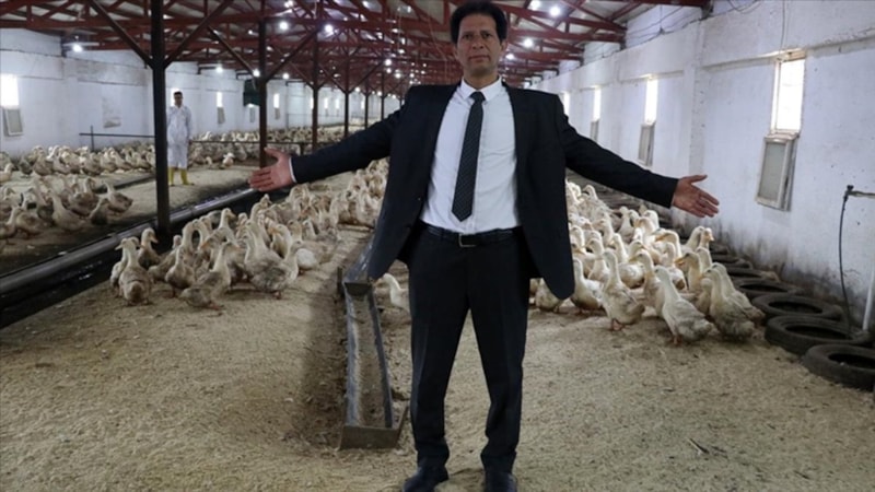 Mısır'dan geldi, Kütahya'da Pekin ördeği çiftliği kurdu