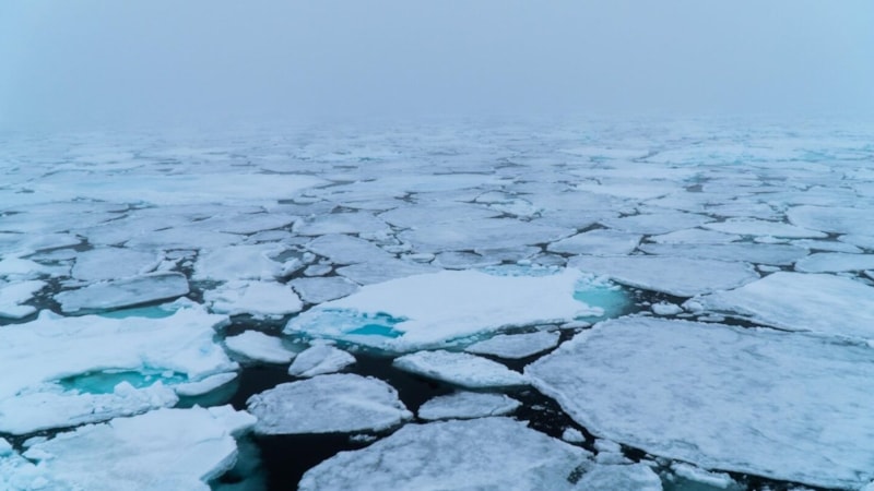 Arktik buz örtüsü 2025'te tarihi düşüşe geçti
