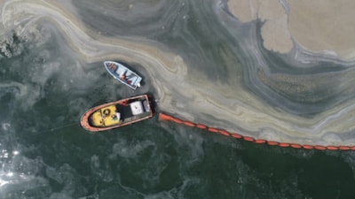 Marmara'da müsilaj tehlikesi: 2021'e dönüş alarmı veriyor